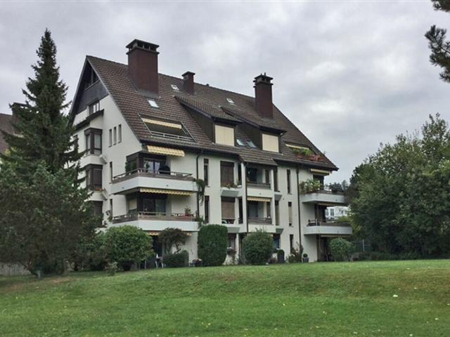 Sucht Ihr Auto ein Dach über der Haube