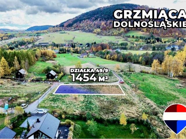 Sudecka 1 454 m², Grzmiąca