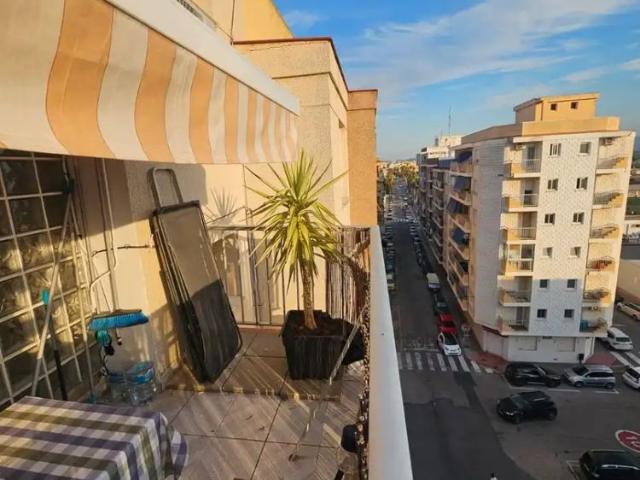 Sueca