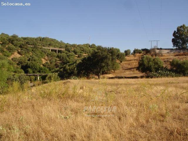 SUELO URBANO DE 36.000 M2 EN LOS ENCINARES DE ALCOLEA