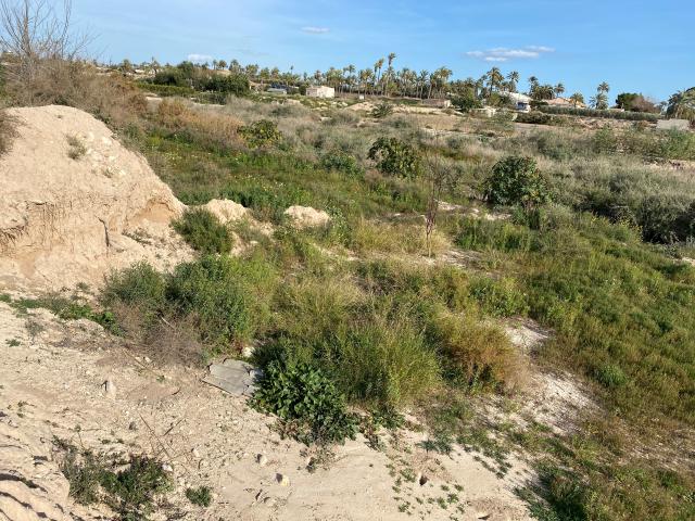 Suelo urbano en Algorós – Elche/Elx
