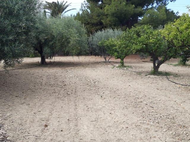 Suelo Urbano en Busot, Alicante