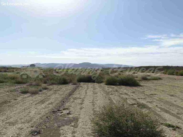 Suelo urbanizable en Venta en Villena Alicante