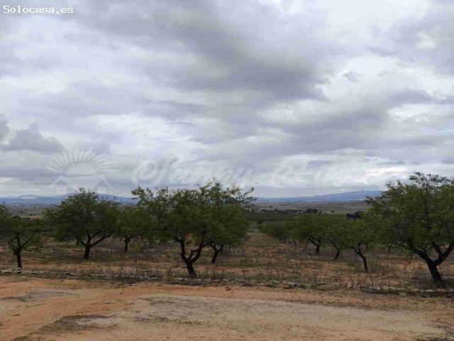 Suelo urbanizable en Venta en Yecla Murcia