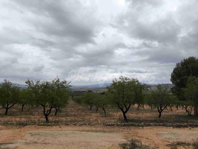 Suelo urbanizable en Venta en Yecla Murcia