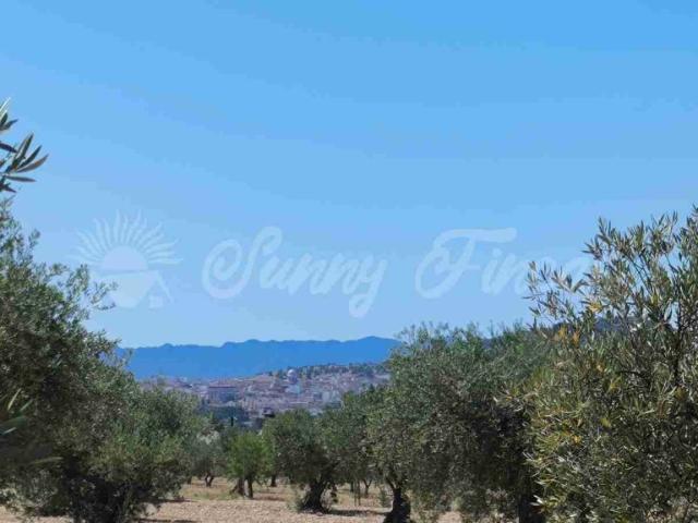 Suelo urbanizable en Venta en Yecla Murcia