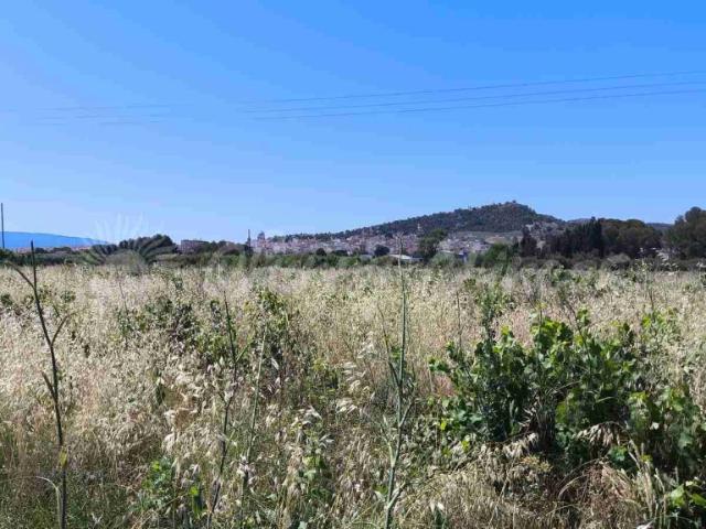 Suelo urbanizable en Venta en Yecla Murcia
