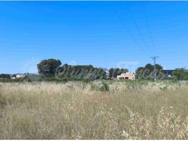 Suelo urbanizable en Venta en Yecla Murcia