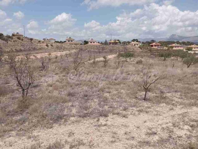 Suelo urbanizable en Venta en Monovar Monover Alicante