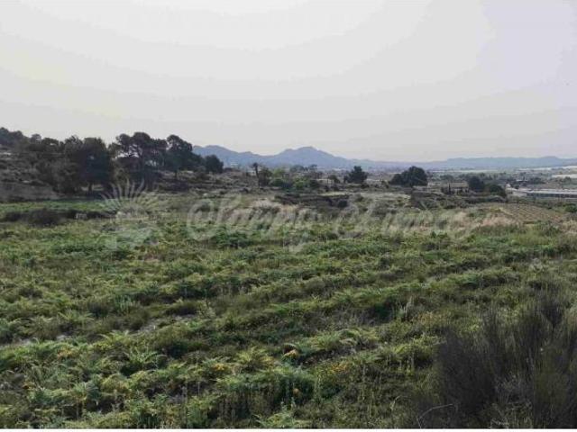 Suelo urbanizable en Venta en Romana, La Alicante