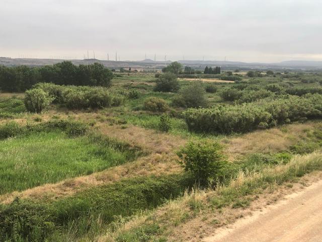 Suelo urbanizable sectorizado en Fontellas