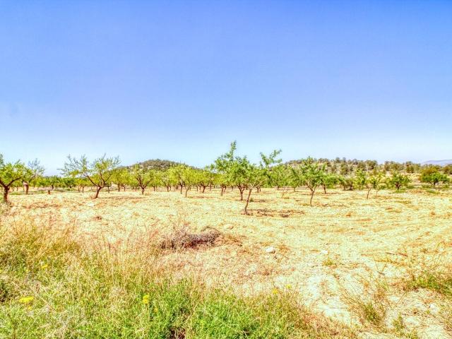 Suelo en venta, Abanilla, Murcia