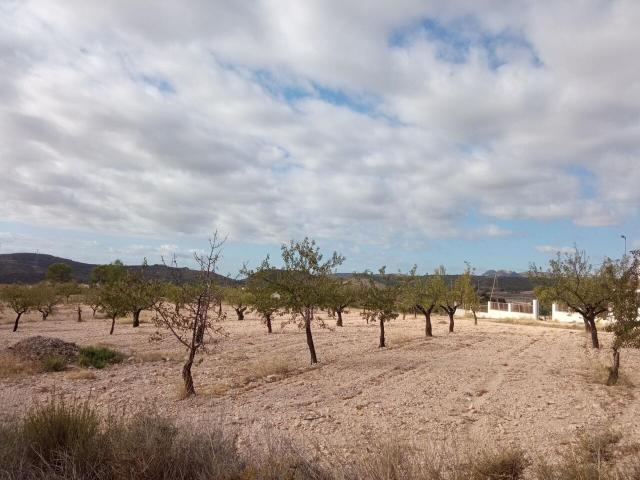 Suelo en venta, Abanilla, Murcia