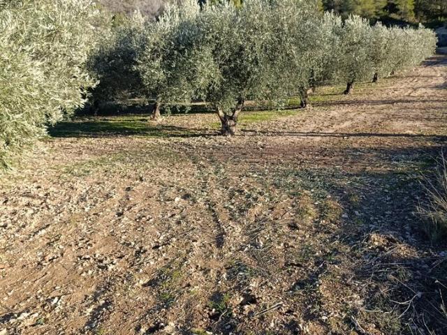 Suelo en venta, Bullas, Murcia