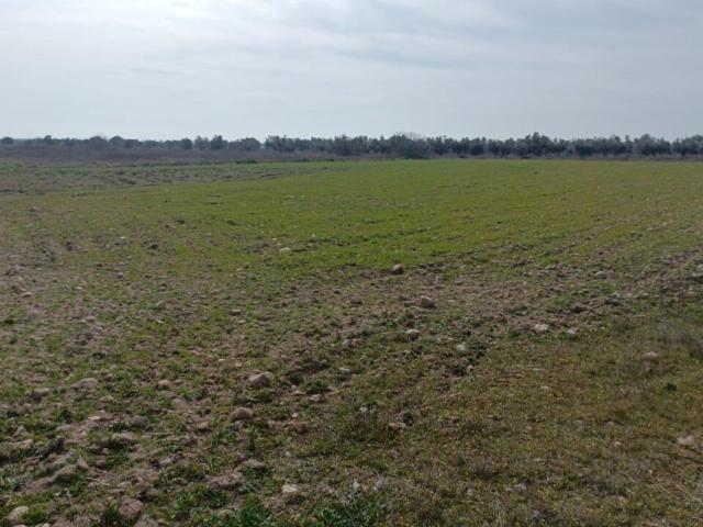 Suelo en venta, Camarena, Toledo