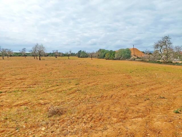 Suelo en venta, Campos, Baleares/Islas Baleares