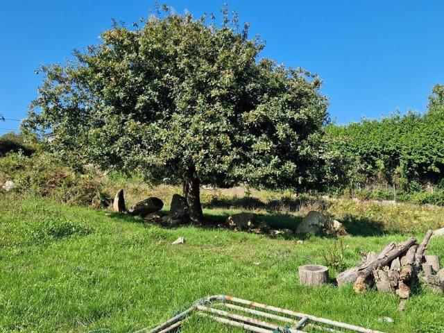 Suelo en venta, Candéan, Vigo