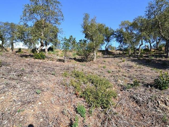 Suelo en venta, Calonge i Sant Antoni, Girona