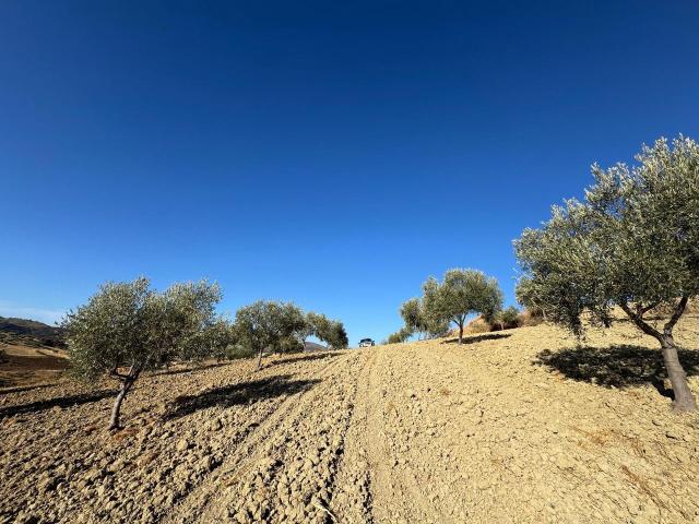 Suelo en venta, Casabermeja, Málaga