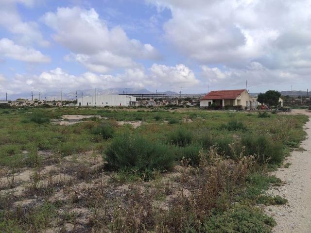 Suelo en venta, Crevillent, Alicante/Alacant