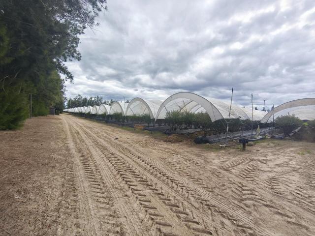 Suelo en venta, El Rocío, Huelva