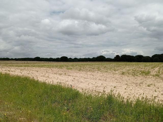 Suelo en venta, Matapozuelos, Valladolid