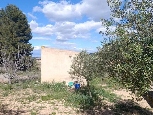 Suelo en venta, Molina de Segura, Murcia