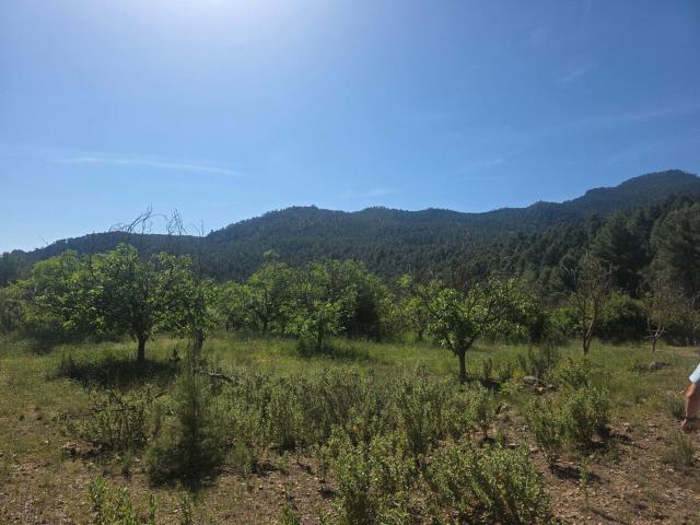 Suelo en venta, Moratalla, Murcia