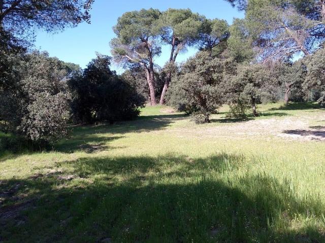 Suelo en venta, Pozuelo de Alarcón, Madrid