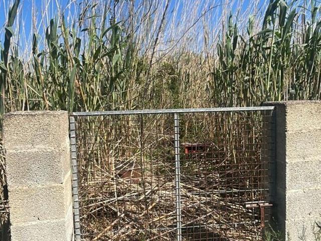 Suelo en venta, Sa Pobla, Baleares/Islas Baleares