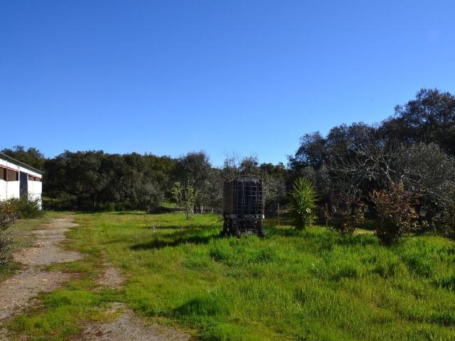 Suelo en venta, Segura de León, Badajoz