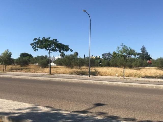SUELO EN PALOMARES DEL RIO
