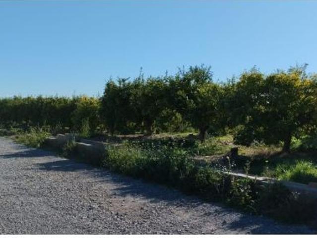 SUELO RUSTICO EN LA VALL DUIXÓ