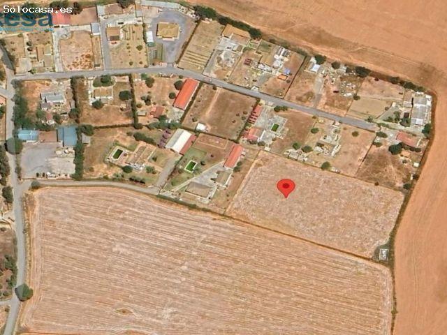 SUELO RUSTICO EN PEGUERILLAS CHAPARRAL / CESION DE REMATE