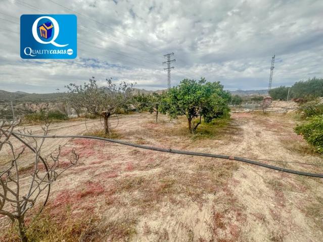 Suelo rústico en Venta en Mutxamel Alicante Ref: 0025307R