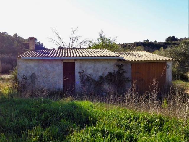 Suelo rústico en Venta en Maella Zaragoza