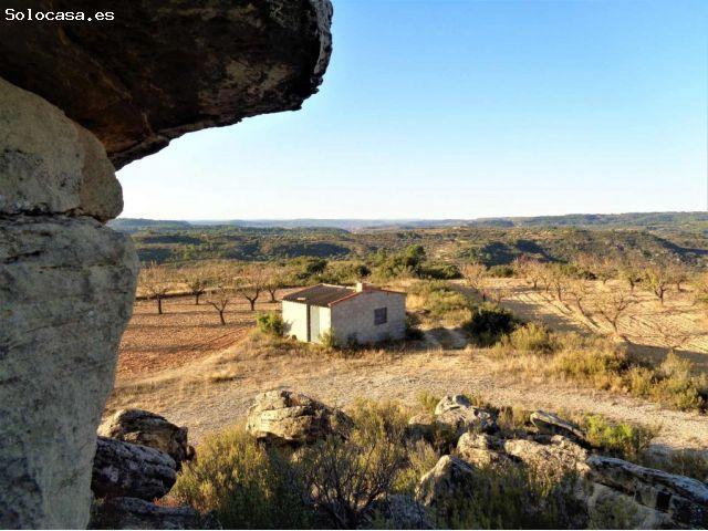 Suelo rústico en Venta en Maella Zaragoza