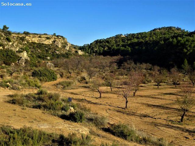 Suelo rústico en Venta en Maella Zaragoza