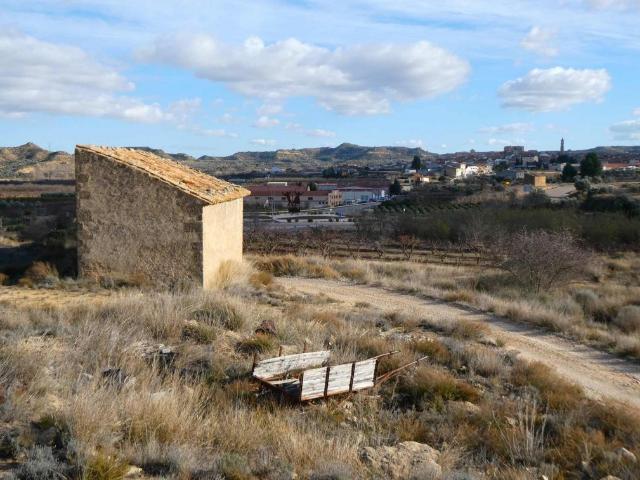 Suelo rústico en Venta en Maella Zaragoza