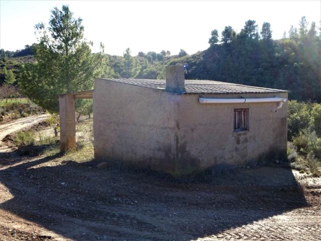 Suelo rústico en Venta en Maella Zaragoza