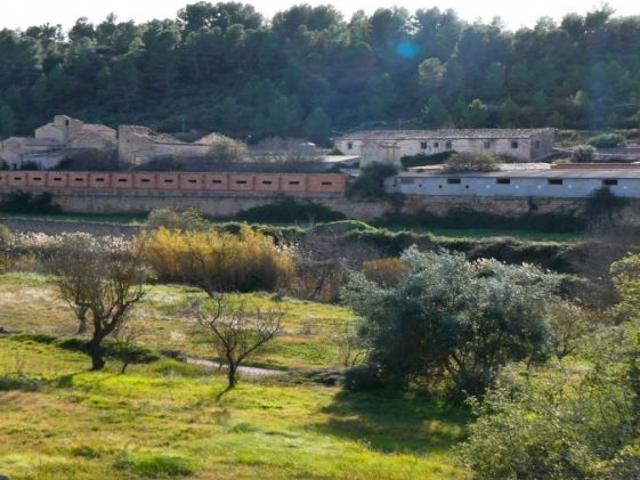 Suelo rústico en Venta en Mazaleon Teruel