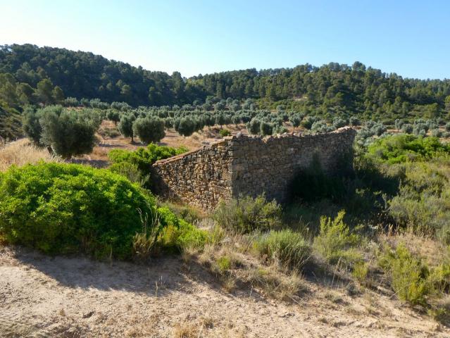 Suelo rústico en Venta en Mazaleon Teruel