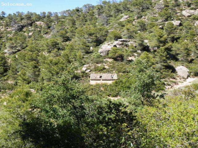 Suelo rústico en Venta en Arens De Lledo Teruel