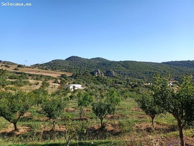 Suelo rústico en Venta en Casares Málaga