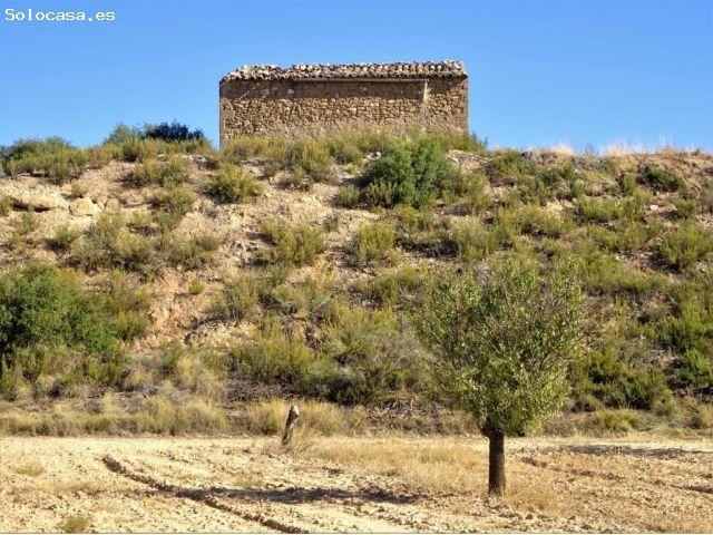 Suelo rústico en Venta en Caspe Zaragoza