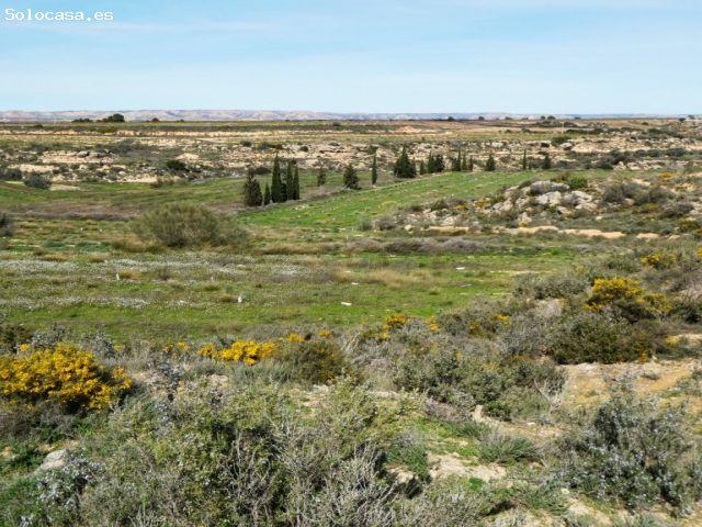 Suelo rústico en Venta en Caspe Zaragoza