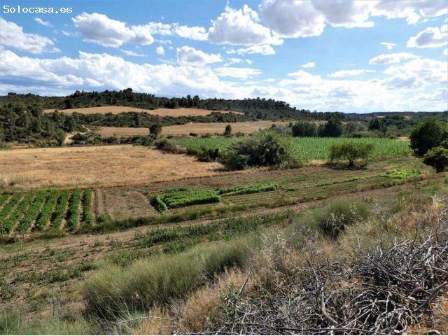 Suelo rústico en Venta en Caspe Zaragoza