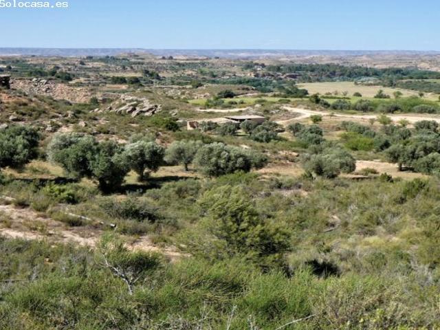Suelo rústico en Venta en Caspe Zaragoza