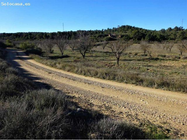 Suelo rústico en Venta en Fabara Zaragoza