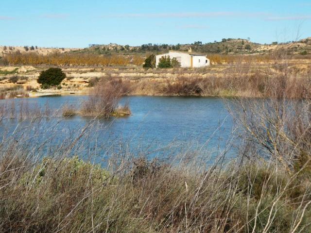 Suelo rústico en Venta en Fabara Zaragoza